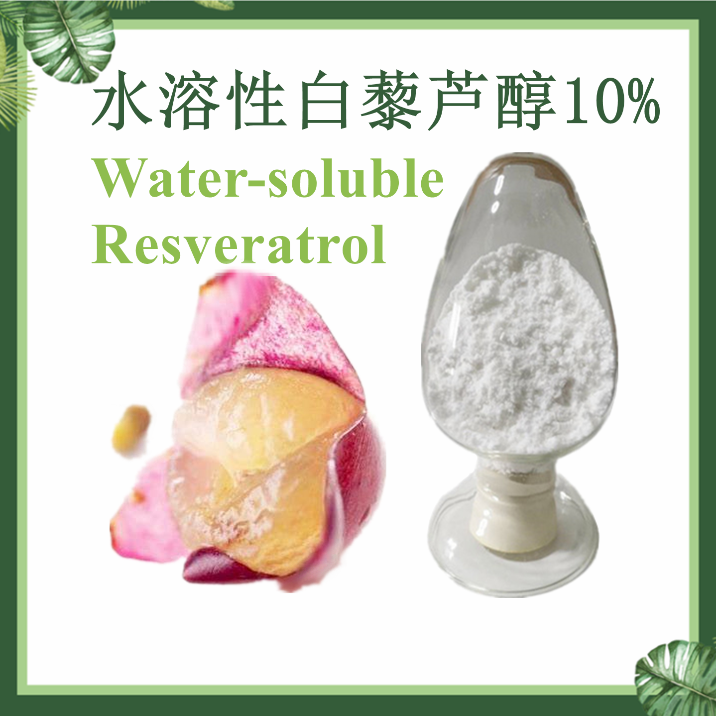 水溶性白藜芦醇10% Water-soluble Resveratrol 全水溶白藜芦醇 葡萄皮提取