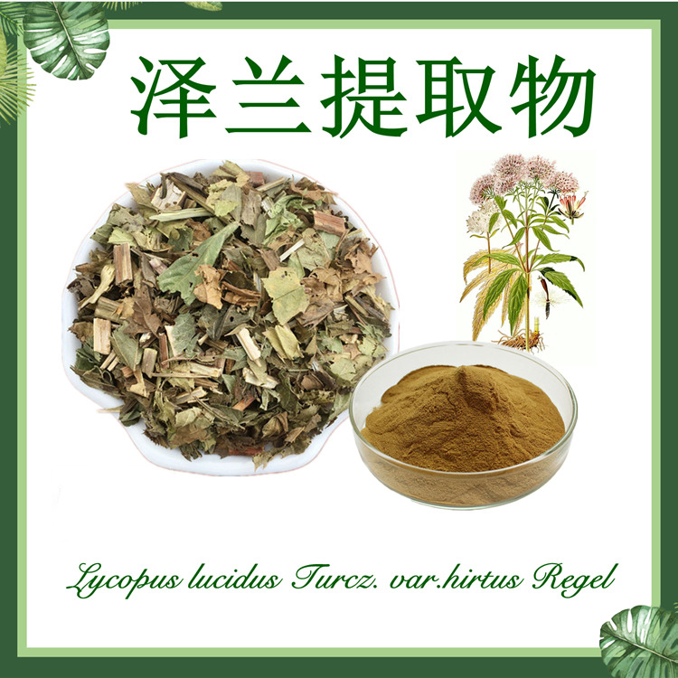 供应：泽兰提取物10:1  地瓜儿苗提取物  蛇王草提取物