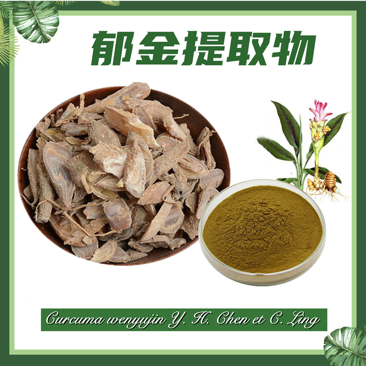 现货供应：郁金提取物10:1  玉金提取物 白丝郁金提取物