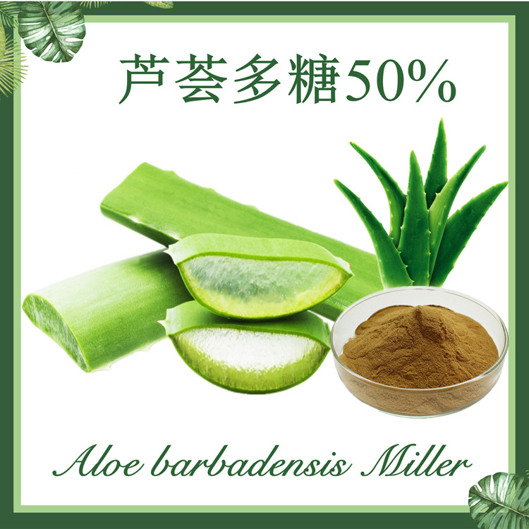芦荟多糖50% 芦荟提取物 现货供应
