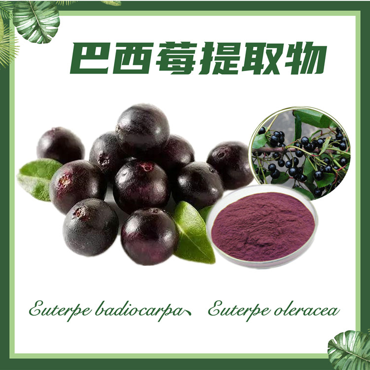 巴西莓提取物10:1  阿萨伊提取物  现货供应
