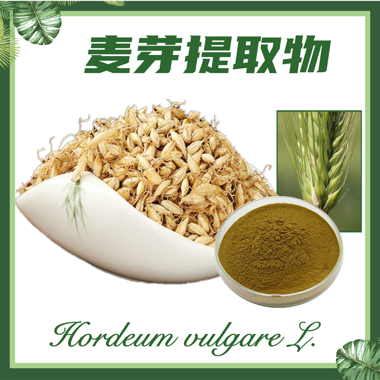 麦芽提取物10:1  大麦芽提取物