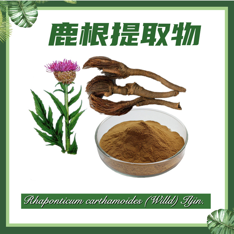 鹿根提取物10:1  鹿草矢车菊提取物  蓝草提取物  现货供应