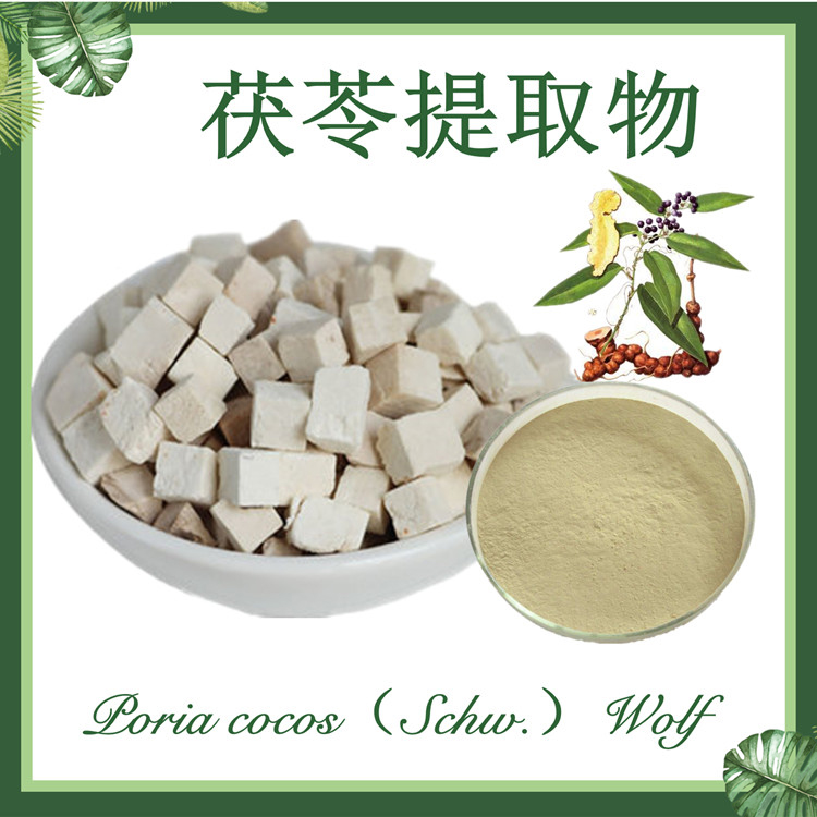 供应：茯苓提取物10:1 白茯苓提取物 茯苓块提取物