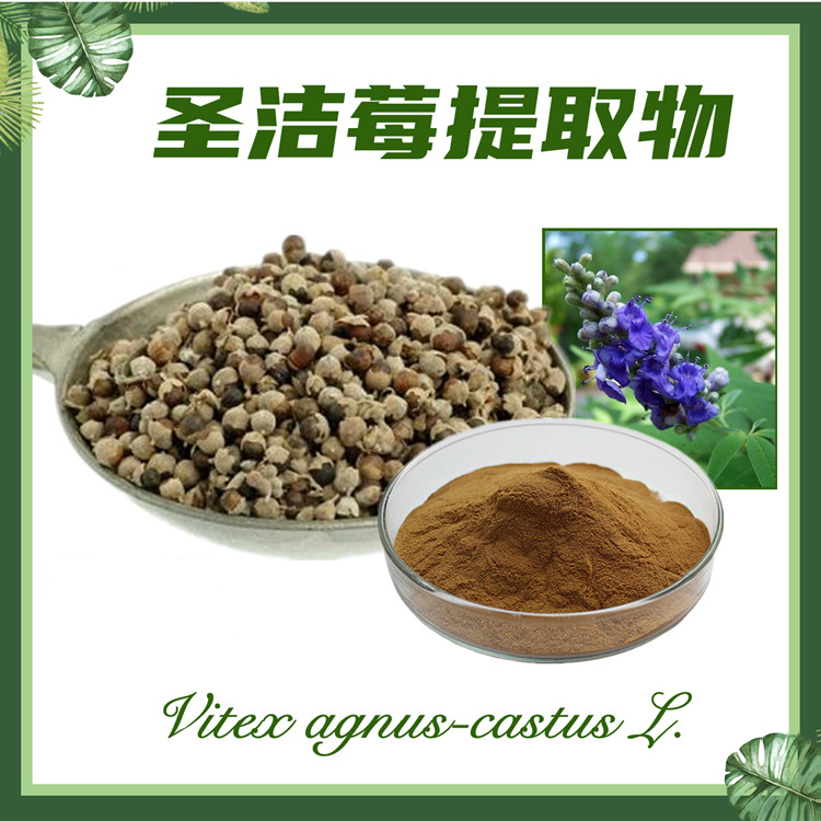 圣洁莓提取物10:1  穗花牡荆提取物