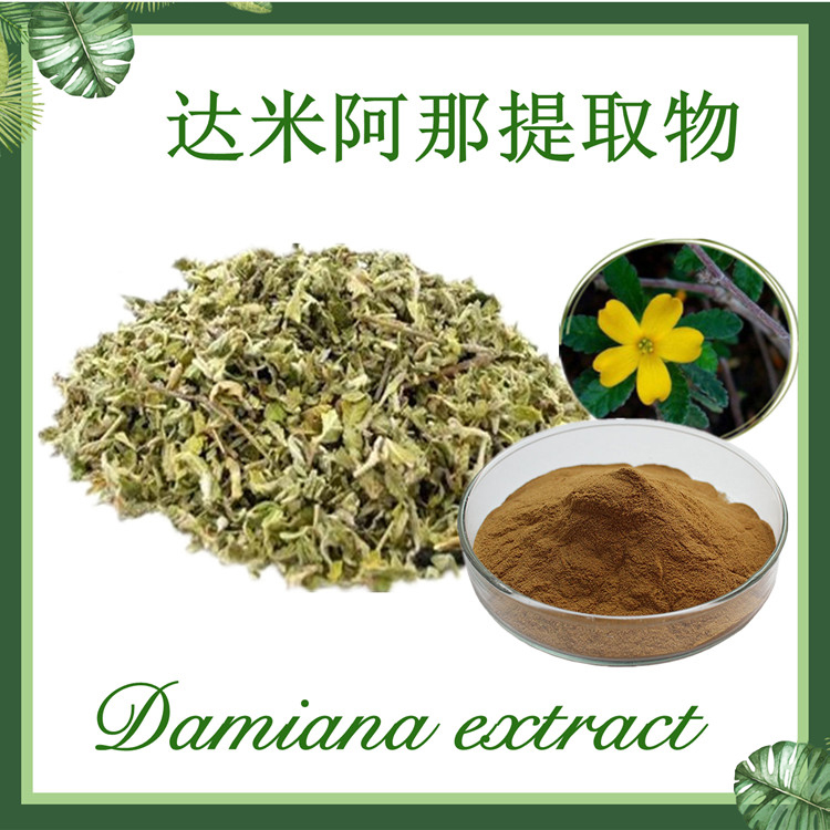 达米阿那提取物10：1  特纳草叶提取物 现货供应