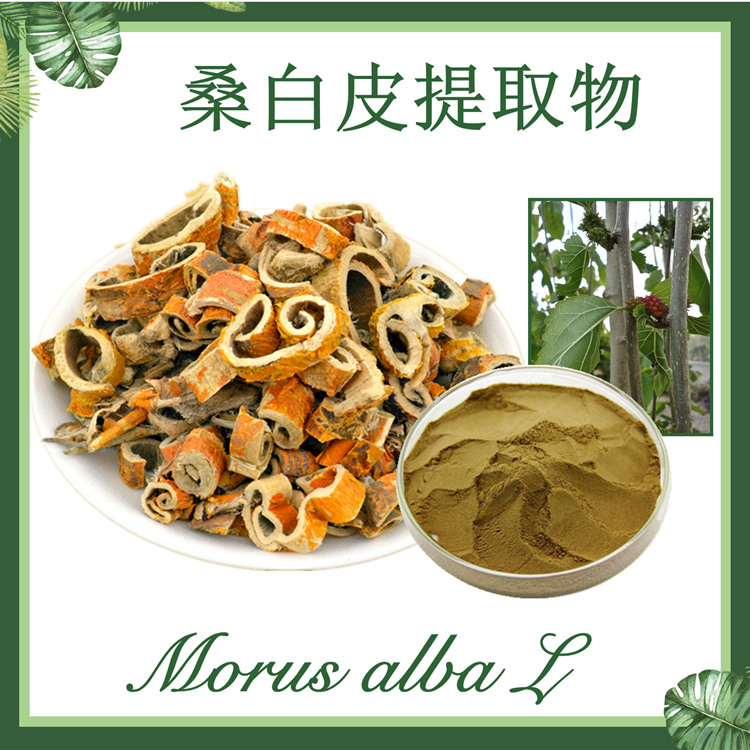 供应：桑白皮提取物10:1 桑皮提取物 桑根皮提取物