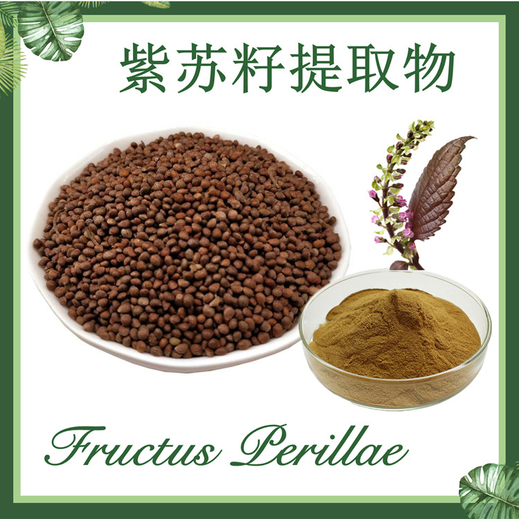 紫苏籽提取物10:1   紫苏子提取物
