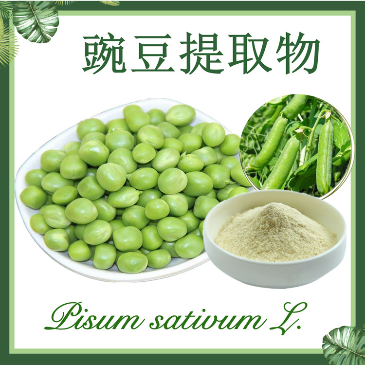 供应：豌豆提取物10:1 青豆提取物 荷兰豆提取物