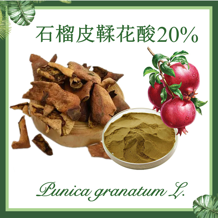 石榴皮鞣花酸20%  石榴皮提取物  现货供应