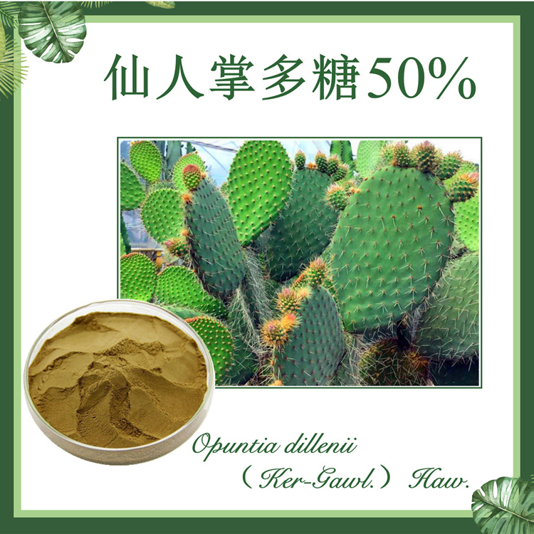 仙人掌多糖50%  仙人掌提取物  现货供应
