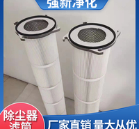 强新净化   除尘器滤筒 三耳四耳滤筒卡盘滤筒 快接滤筒 厂家直供