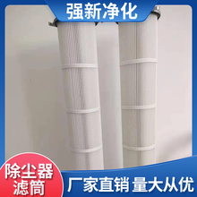 强新净化   脉冲式除尘器滤筒 DW079-LQ吸尘器滤芯 防静电除尘滤芯 厂家直供