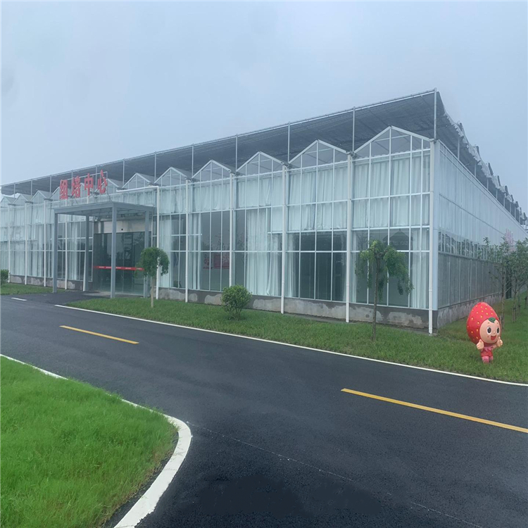 广东汕头玻璃温室安装设计 连栋温室大棚厂家 温室材料