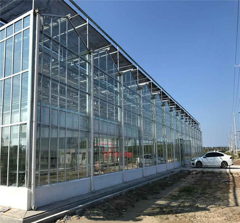 印度玻璃温室大棚 阳光板温室智能温室 育苗温室厂家 安装预算报价