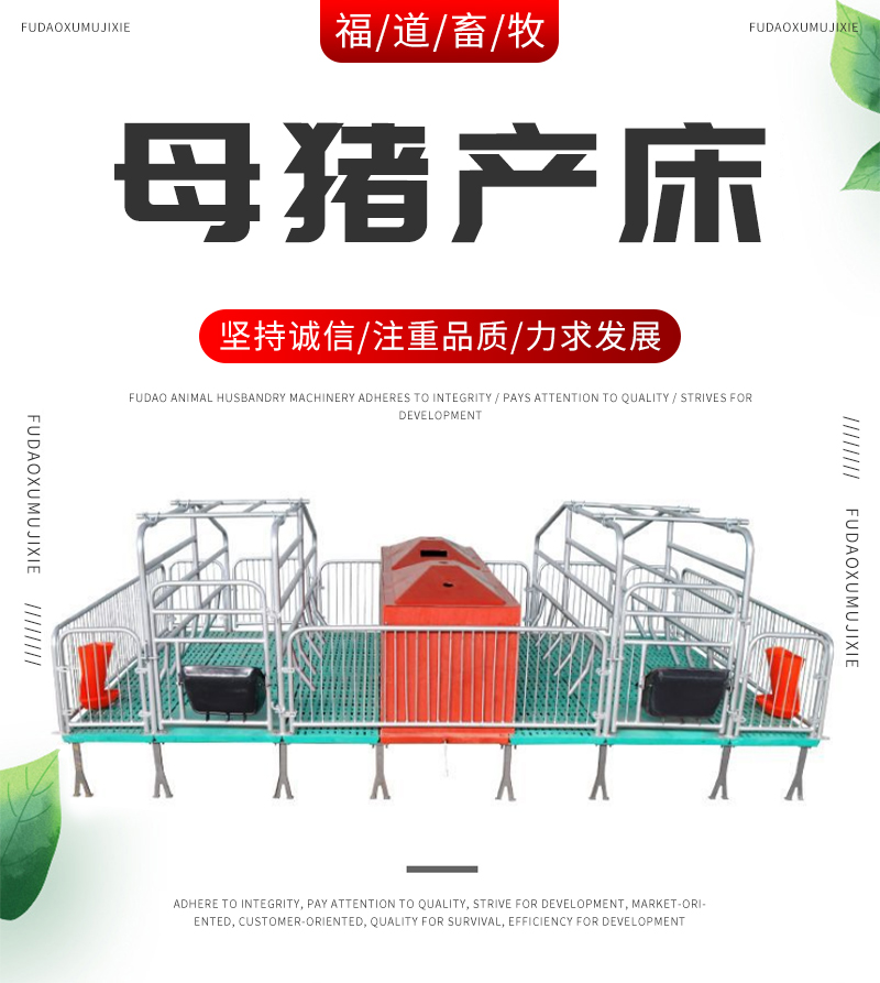 复合板产床母猪分娩床 养猪厂用欧式母猪产床 仔猪保育床