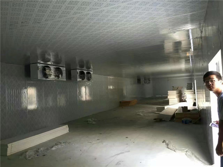 制作冷库 冷库建设 安装冷库 冷库设计