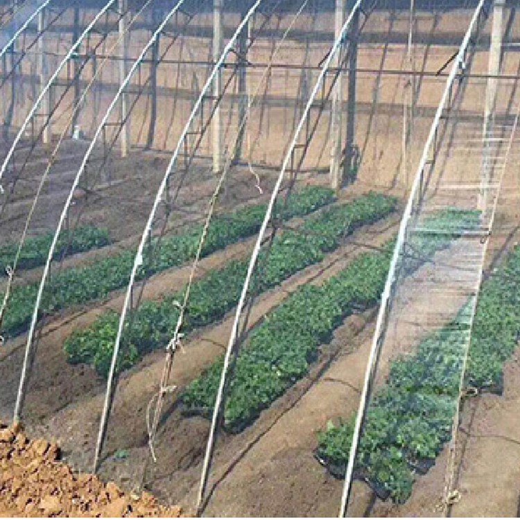 大棚PO膜 大棚膜供应商 天合直供