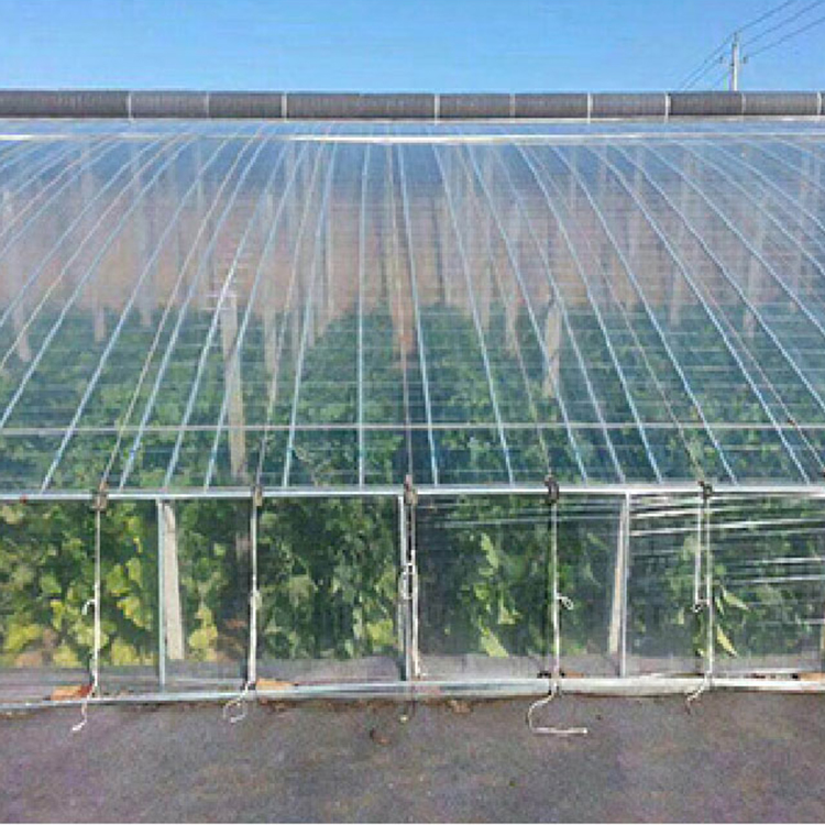 大棚PO膜 农用PO膜批发商 欢迎致电咨询