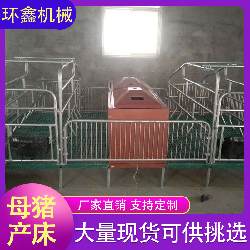 母猪分娩栏 双体母猪产床 小猪保育床 加工批发
