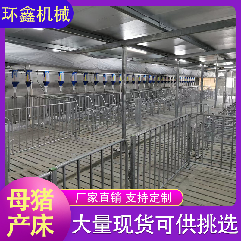 母猪产床 双体母猪产床 欧式母猪分娩床 欢迎咨询