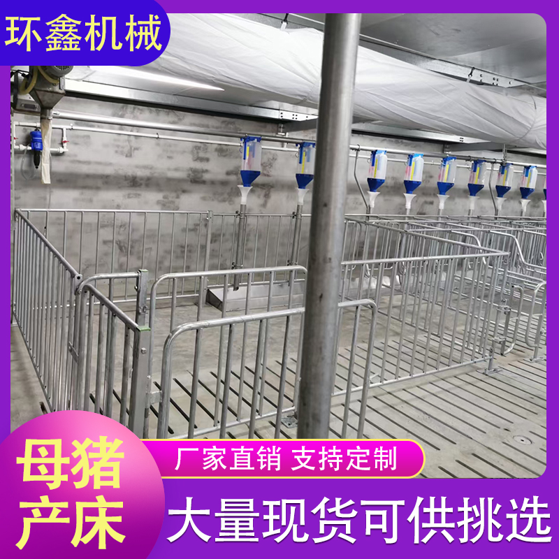 母猪分娩栏 落地式母猪产床 双体母猪分娩床 厂家直销