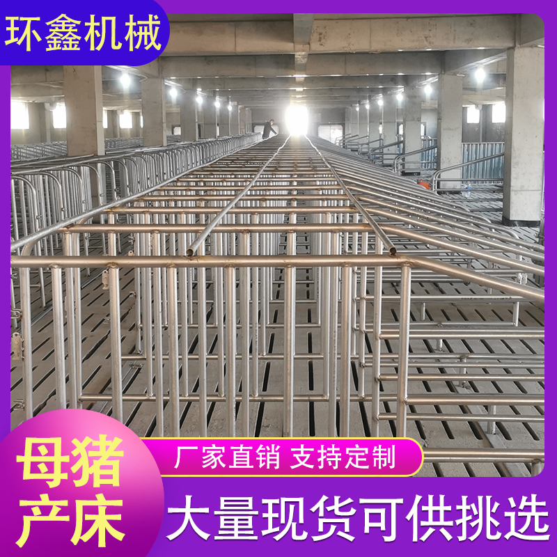 母猪分娩栏 母猪保育床 养殖母猪产床 量大优惠