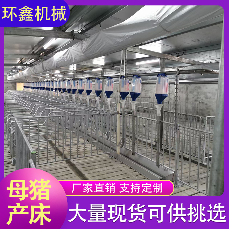 母猪产床 双体母猪产床 养殖场母猪产床 规格齐全