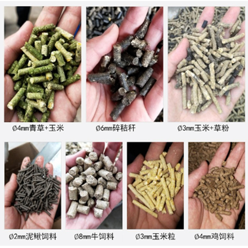 养殖造粒机220V造粒制粒颗粒机节能平模饲料颗粒机新饲料颗粒机