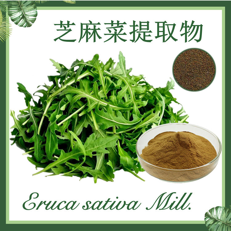 供应：芝麻菜提取物10:1  臭菜提取物  火箭生菜提取物