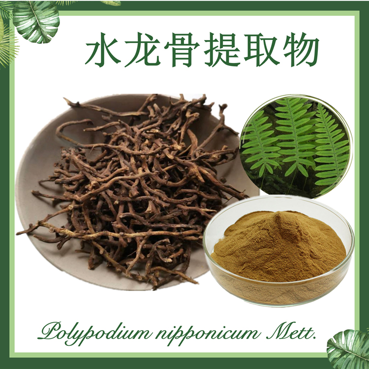 供应：水龙骨提取物10:1  草石蚕提取物  青龙骨提取物