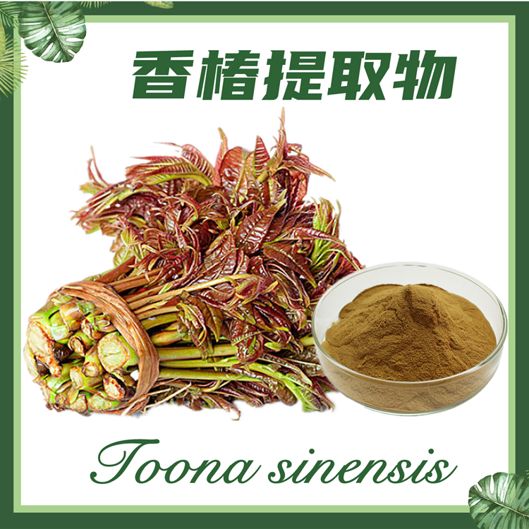 供应：香椿提取物10:1 香椿芽提取物 春苗提取物