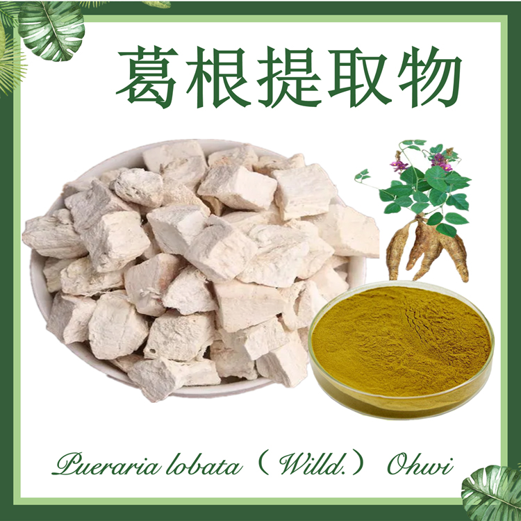葛根提取物10:1 葛藤提取物 野葛提取物