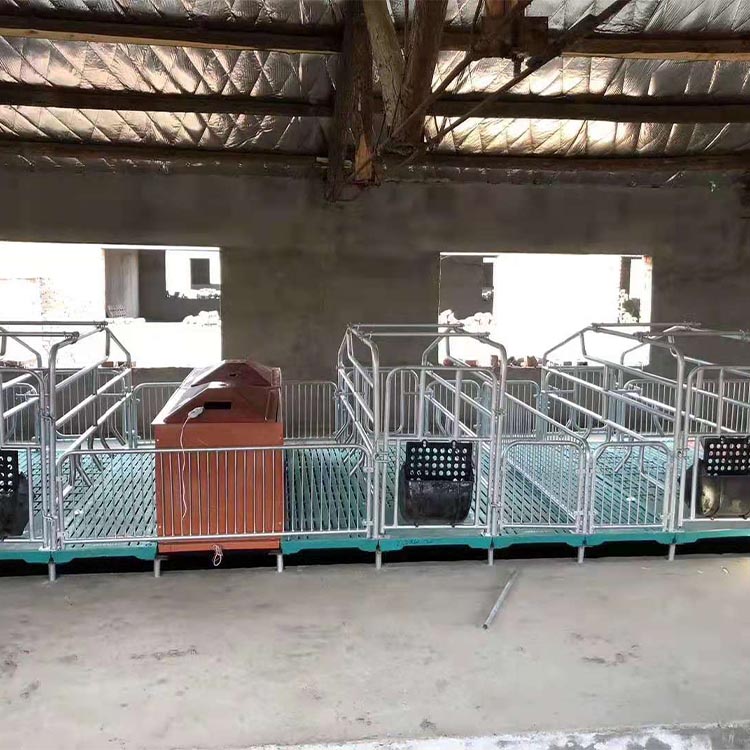 生产出售 单体产床 加宽猪产床 可订购 新型母猪产床