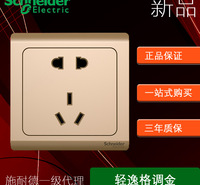 现货供应施耐德金色五孔E2S426-10US-WG插座