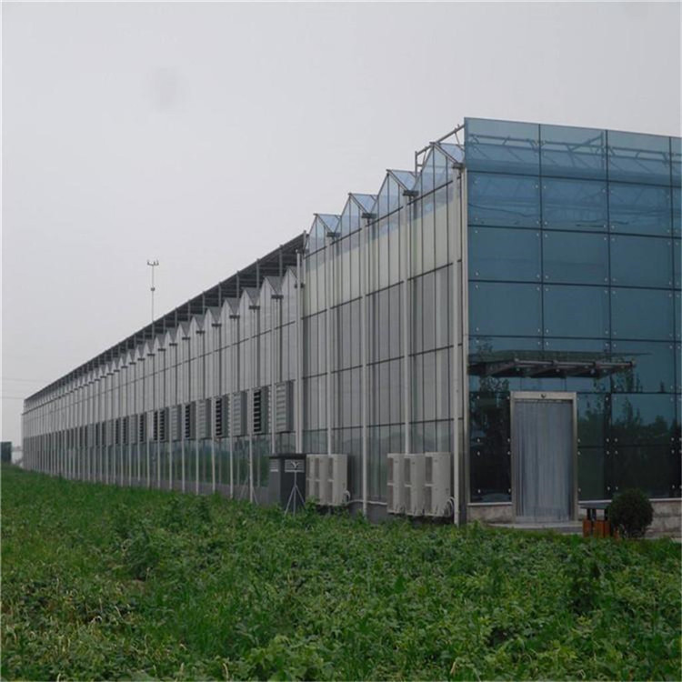 北方农业承接 连栋玻璃温室厂家 新型玻璃温室建造