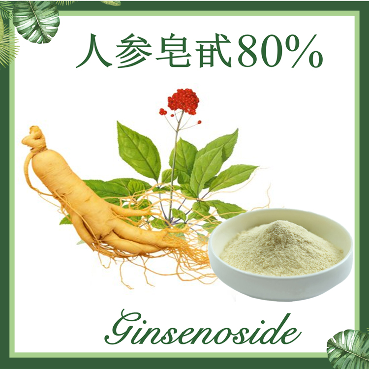 人参皂甙 人参提取物 人参总皂甙80% 人参皂苷