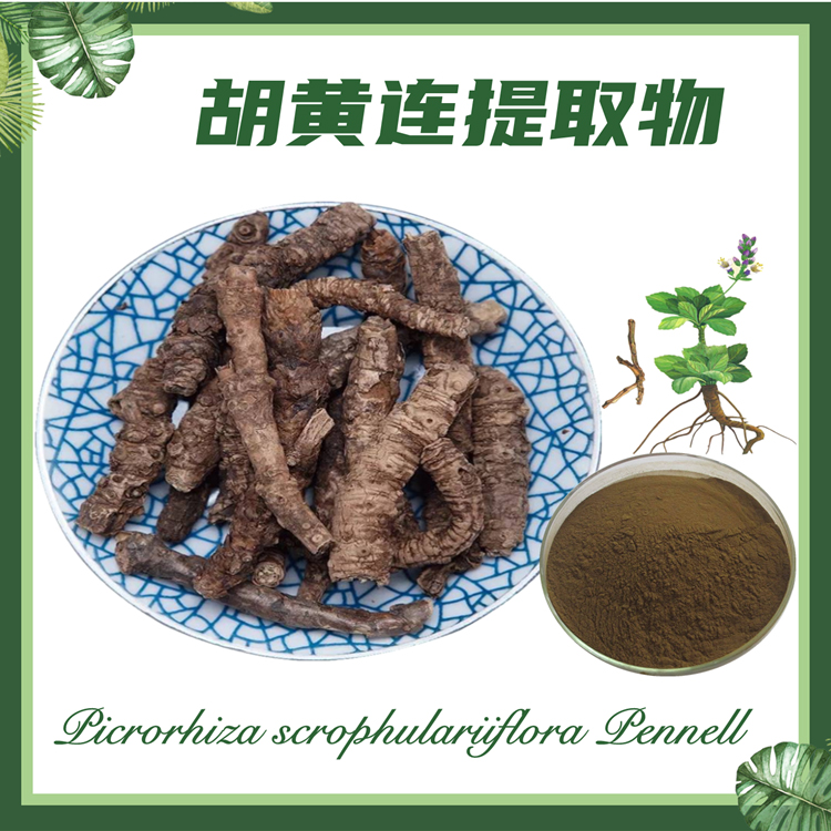 慈缘生物 胡黄连提取物 10:1 胡连提取物