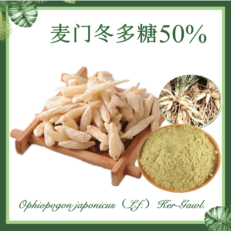 麦冬多糖 30%50% 麦门冬提取物 麦门冬多糖