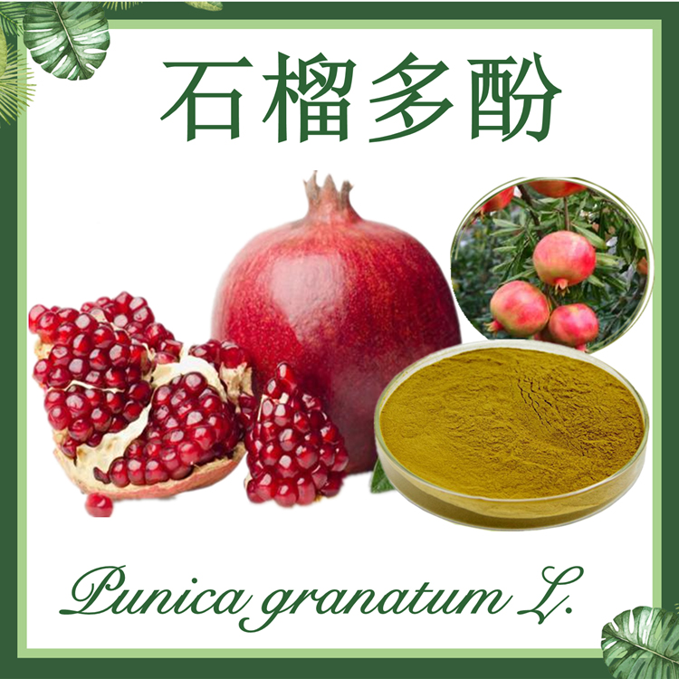 石榴多酚10%-70% 石榴提取物 石榴籽/皮多酚