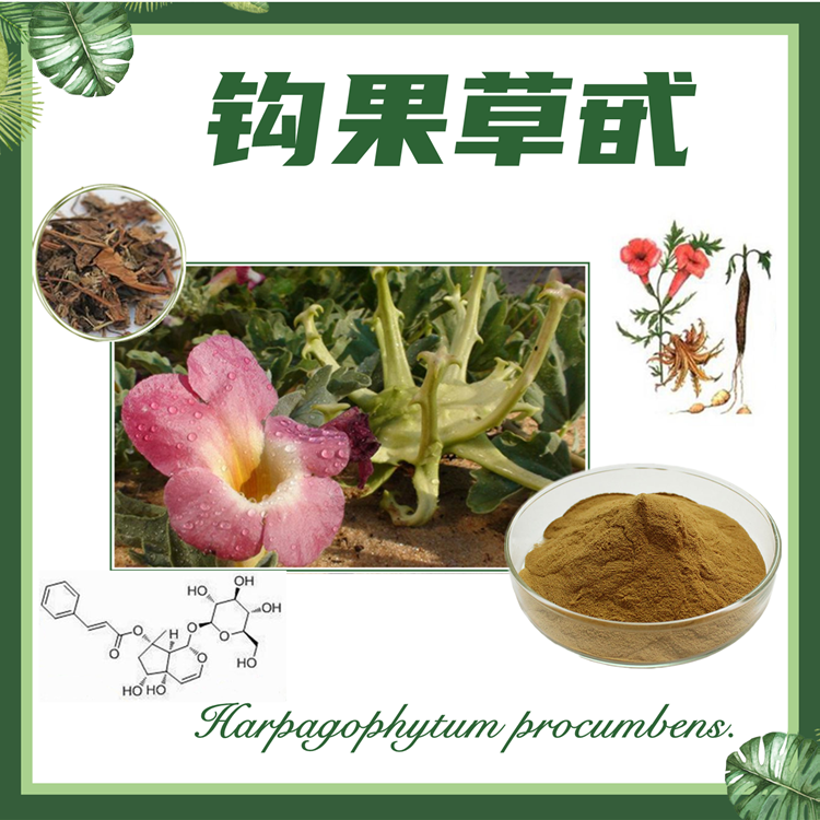 钩果草甙 2.5% 钩果草提取物 哈巴俄甙