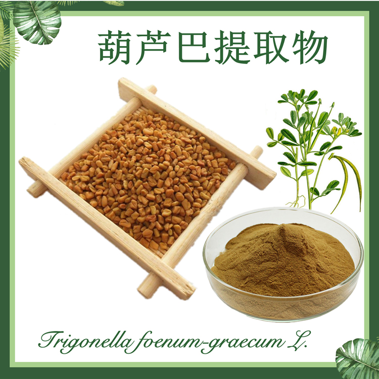 葫芦巴提取物10:1 胡芦巴提取物 苦豆提取物 现货供应