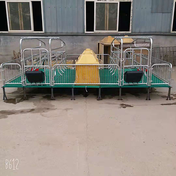    母猪产床产保两用保育床 大猪用复合板限位栏母猪分娩床支持定制