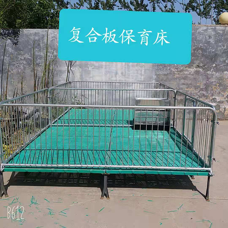 保育床养猪设备 复合板保育床 售后贴心