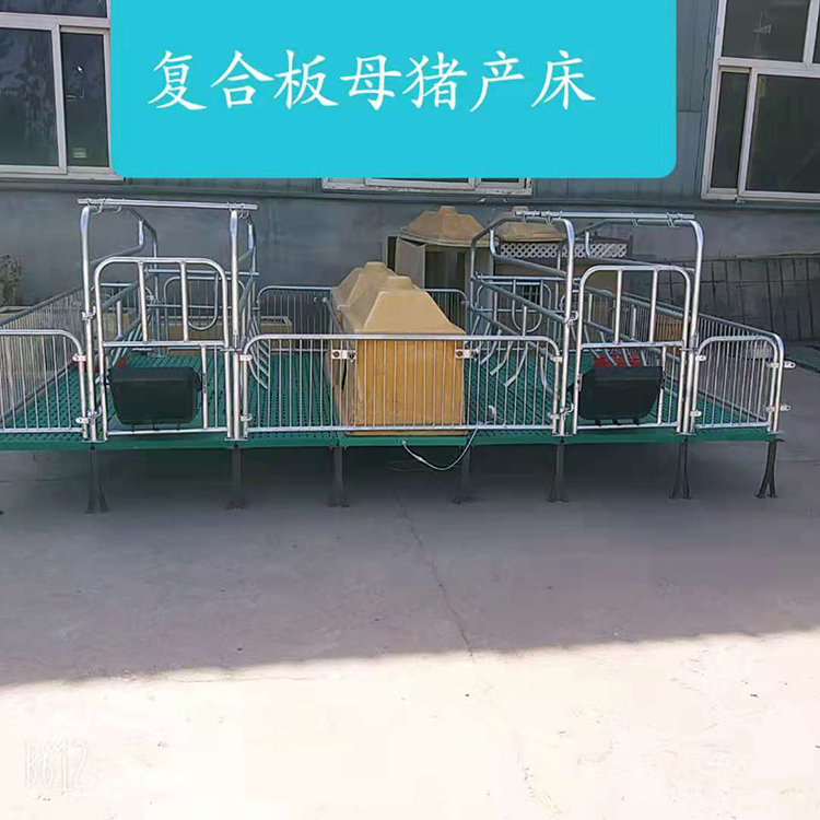 母猪定位栏 小猪保育床 复合板母猪产床限位栏 仔猪保育床