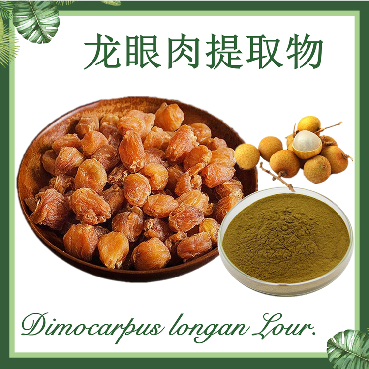 龙眼提取物 10:1 桂圆干提取物 龙眼肉提取物