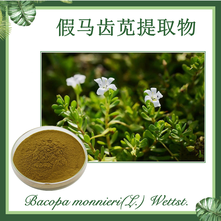假马齿苋提取物 10:1 白花猪母菜提取物 质优价廉