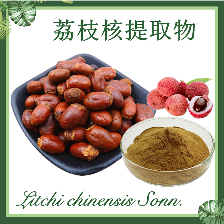 【慈缘生物】荔枝核提取物 10:1 现货供应