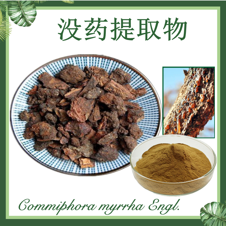 没药提取物 末药提取物 10:1 明没药提取物