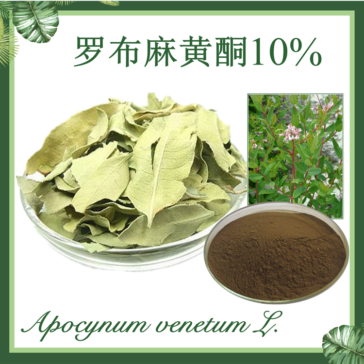 【慈缘生物】罗布麻黄酮 10%  罗布麻提取物